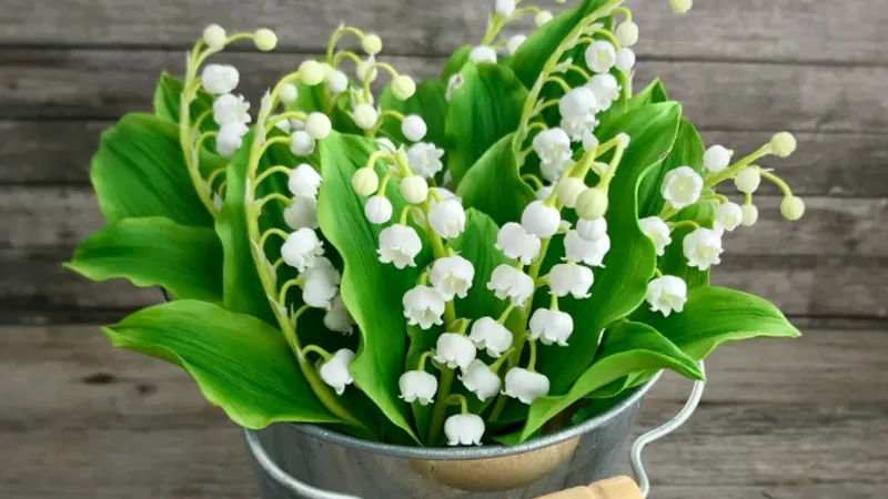 Подписка донат на клуб Украшения из полимерной глины