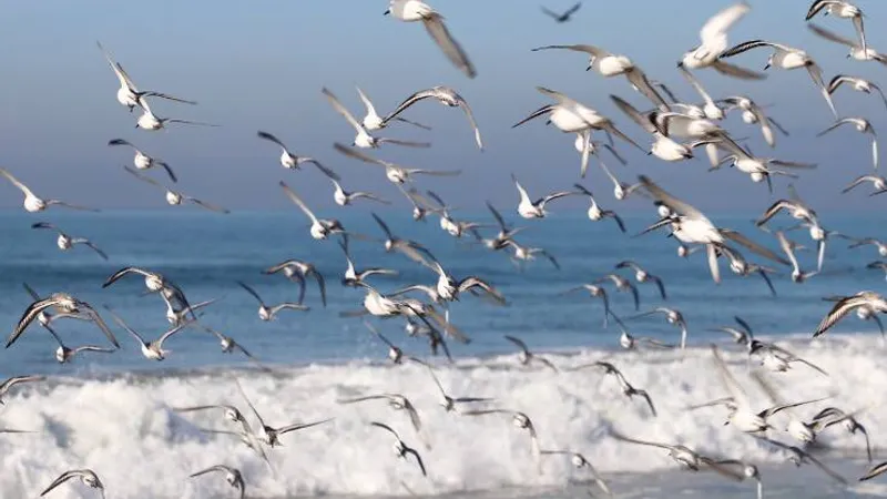 Возвращаясь к себе