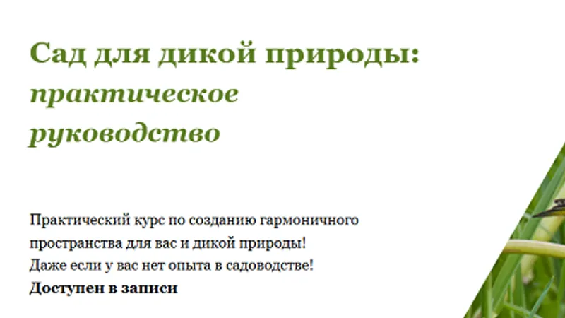 Сад для дикой природы: практическое руководство
