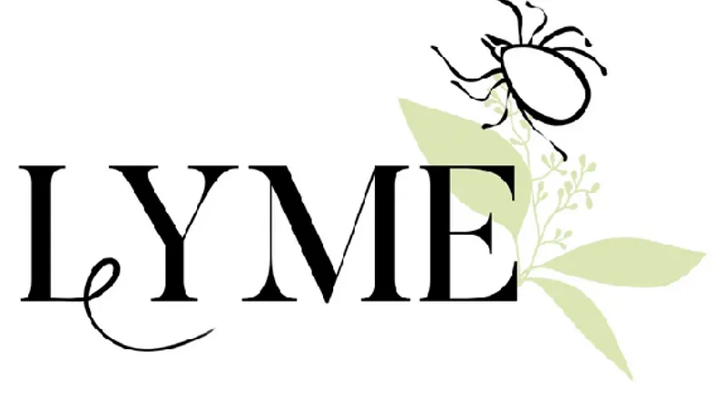 Группа Лайм