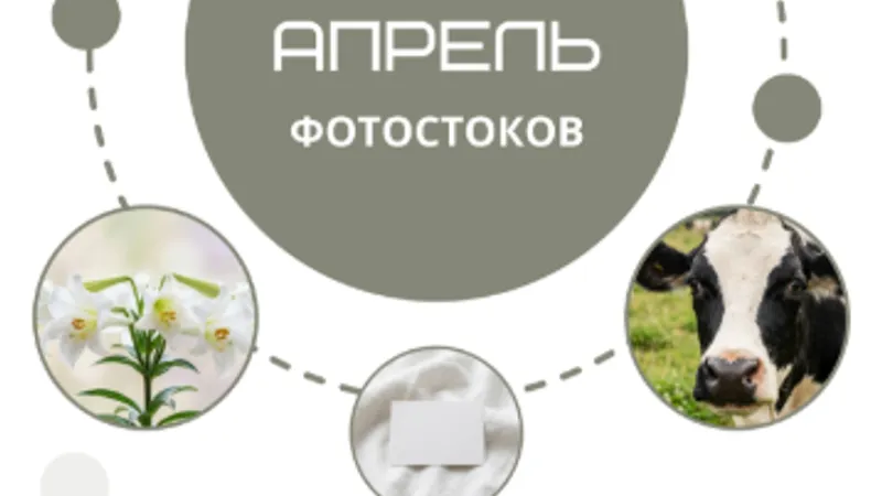 Тренды фотостоков + Книга НЧ Молодежь + Видео 2