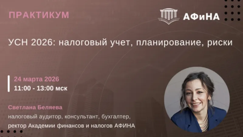 УСН: налоговый учет, планирование, риски