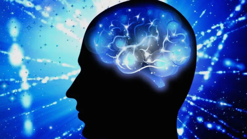 Би- и мультилингвизм: архитектура многоязычного мозга