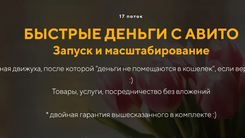 Быстрые деньги с авито. Запуск и масштабирование