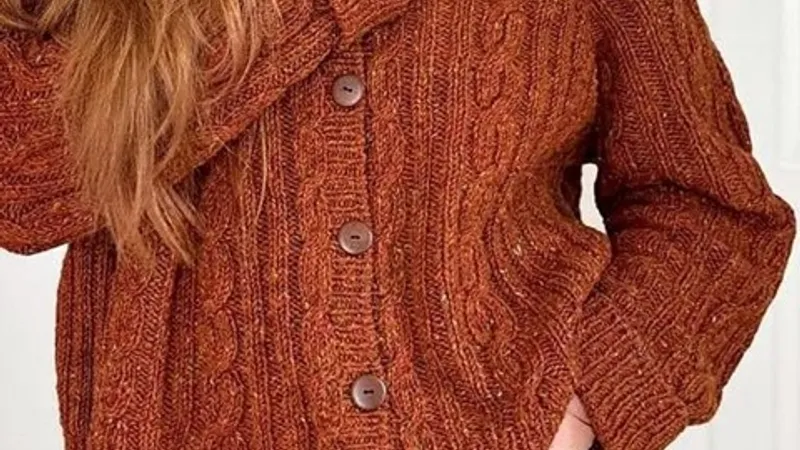 Вязаный спицами кардиган реглан с косами Eimi