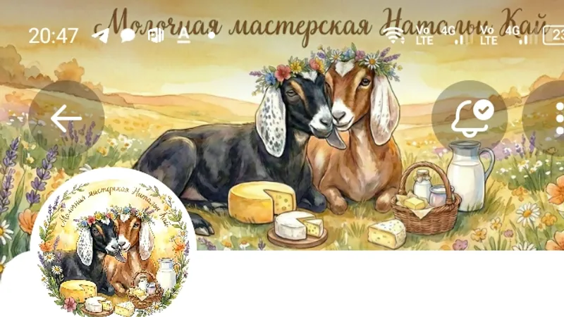 VK донат Молочный круг поддержки на 1 месяц