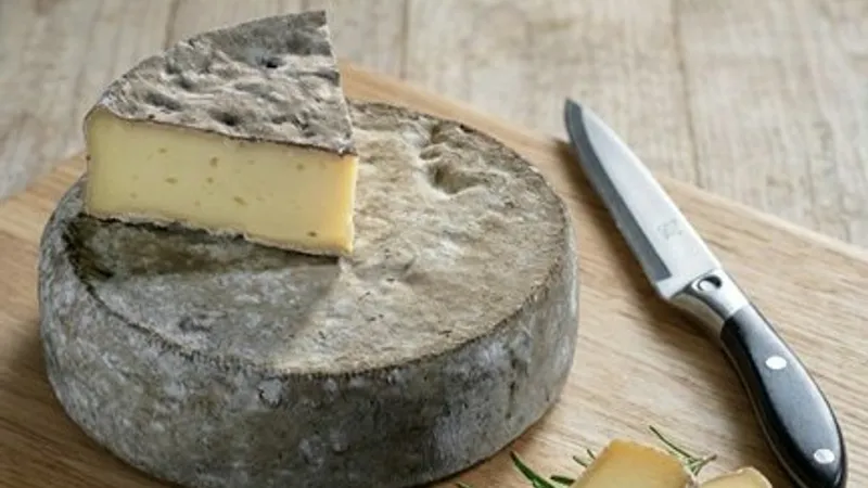 Технология сыра Том де Бож