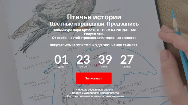 Птичьи истории. Цветные карандаши