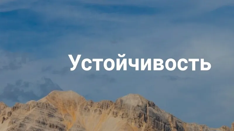 Устойчивость. Как сохранять устойчивость в сложное время личных кризисов и трансформаций больших систем