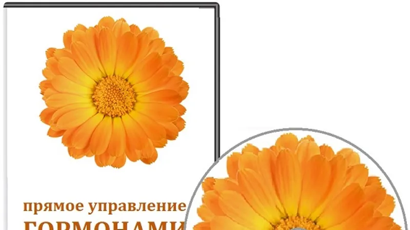 Прямое управление гормонами счастья