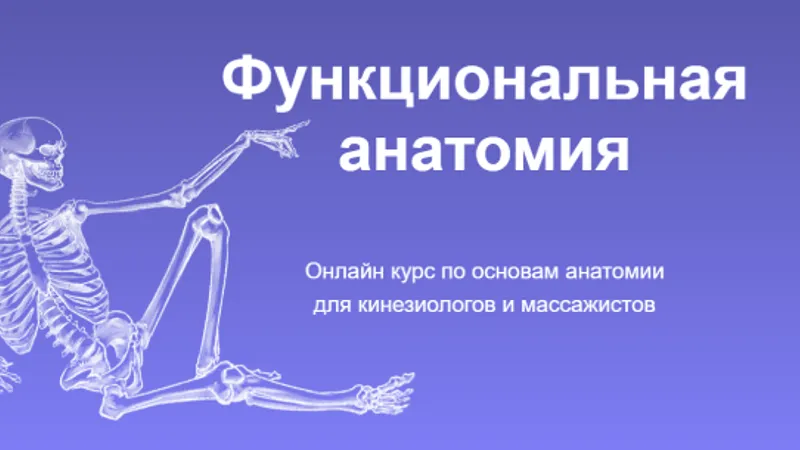 Функциональная анатомия
