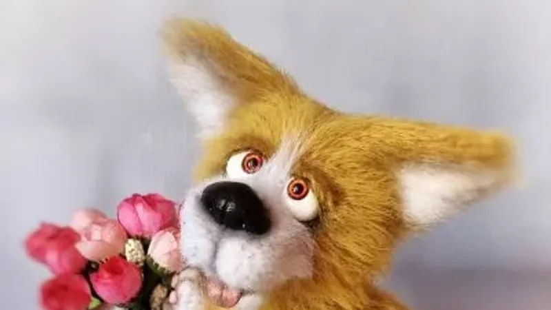 Корги