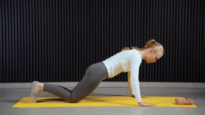Full body mobility