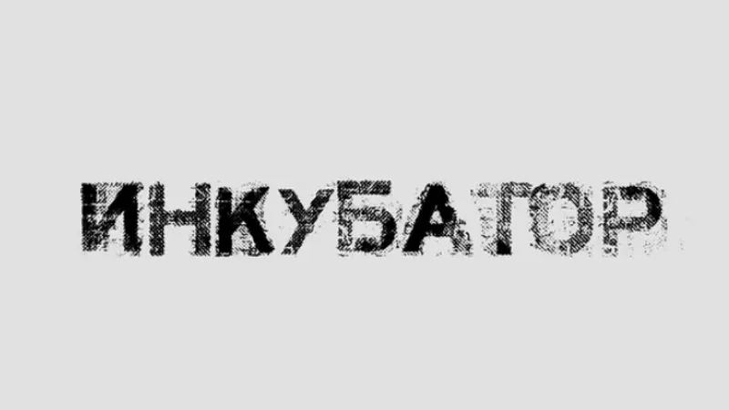 Инкубатор