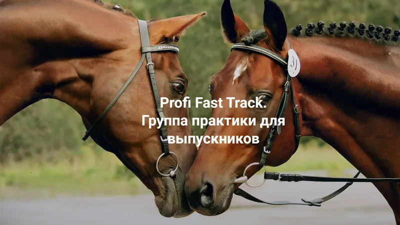 Одиночество терапевта. Profi Fast Track. Группа практики с супервизией для выпускников