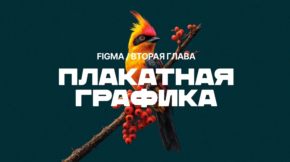 Обложка курса