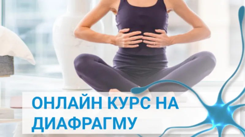 На диафрагму