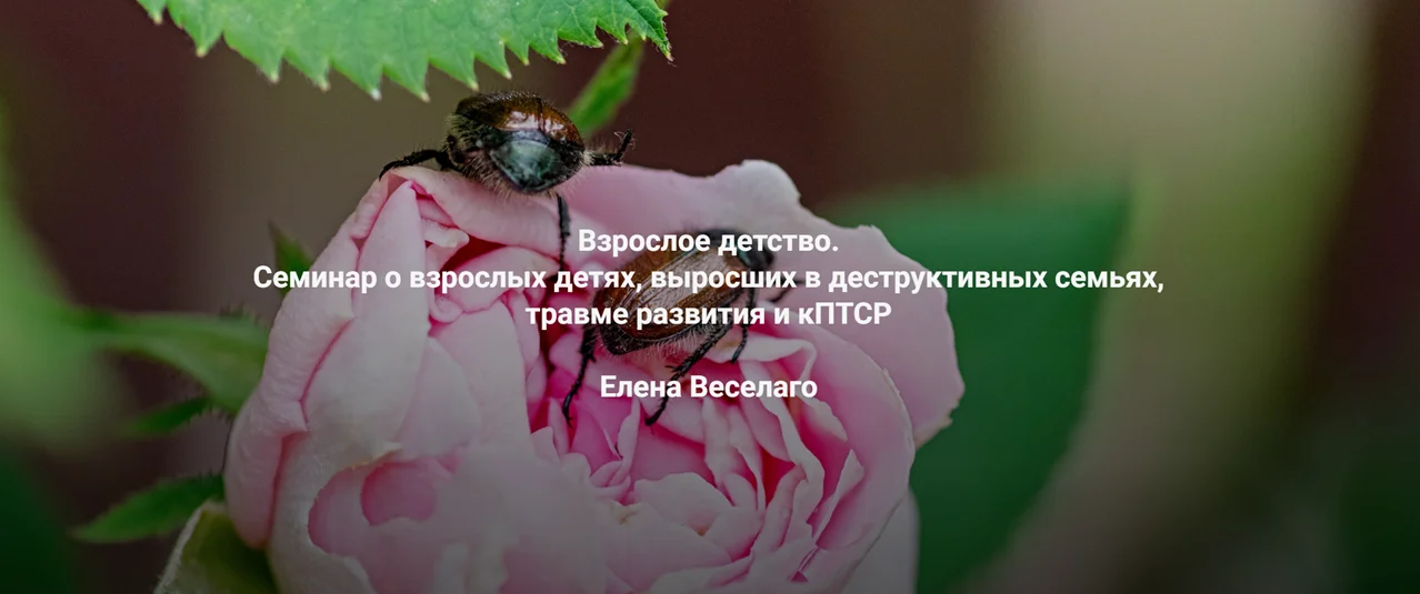 Обложка курса