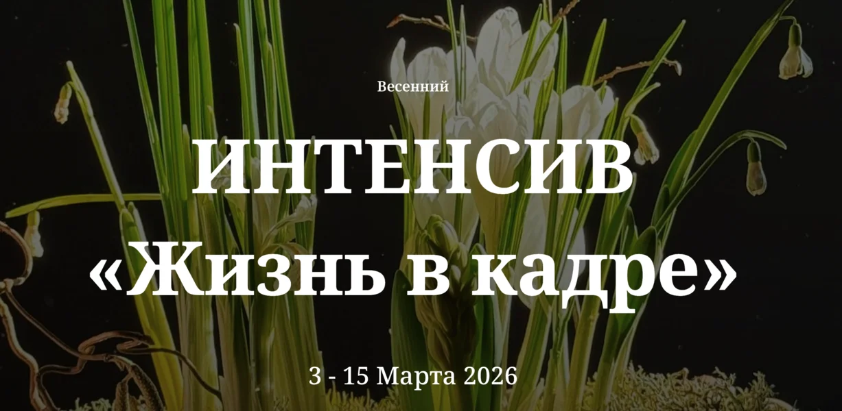 Обложка курса