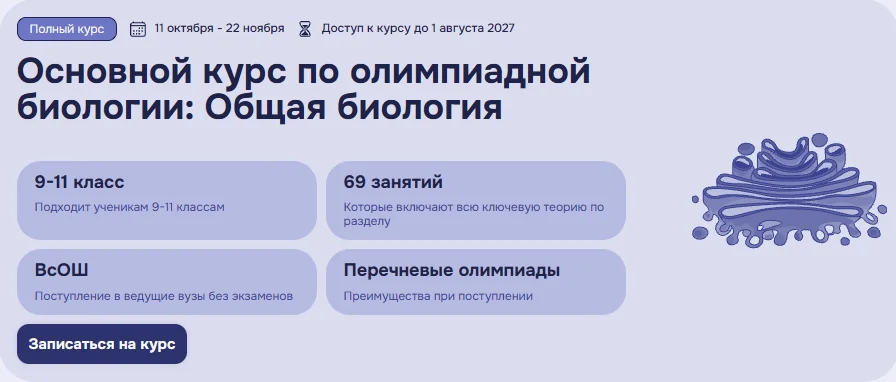 Обложка курса