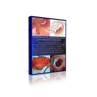 Пищеварительная система организма от А до Я