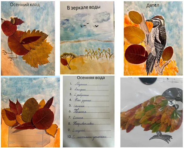 Обложка курса