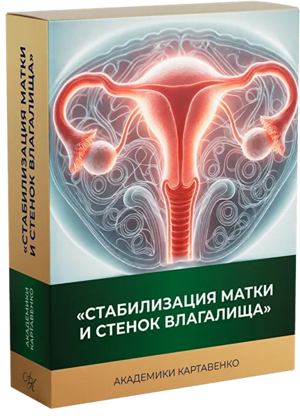 Обложка курса