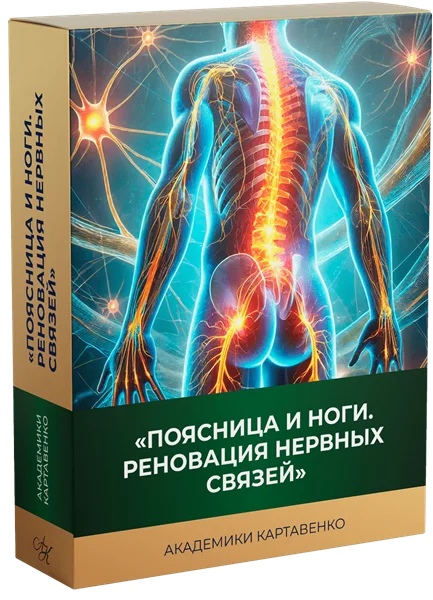 Обложка курса