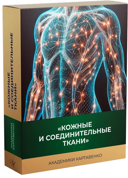 Обложка курса
