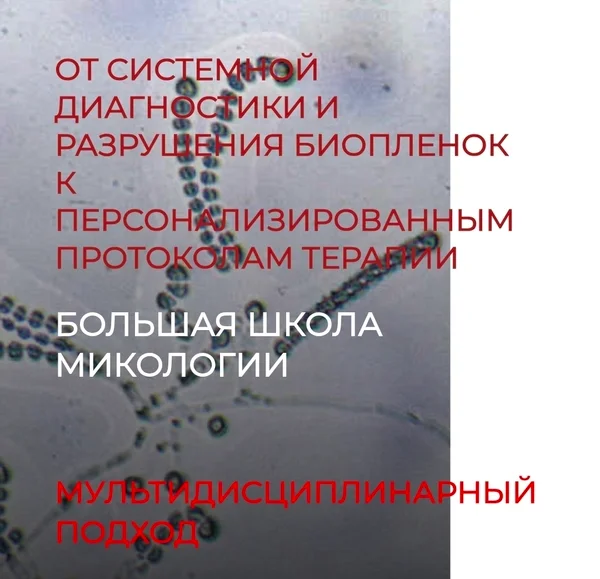 Обложка курса