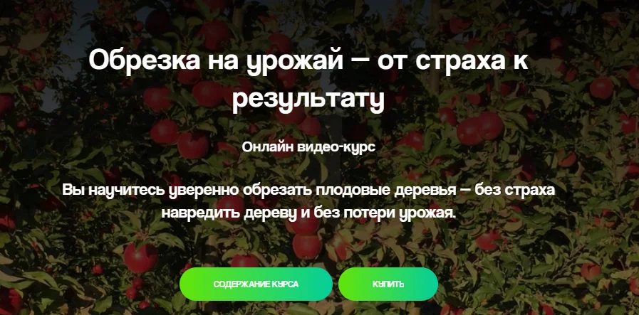 Обложка курса