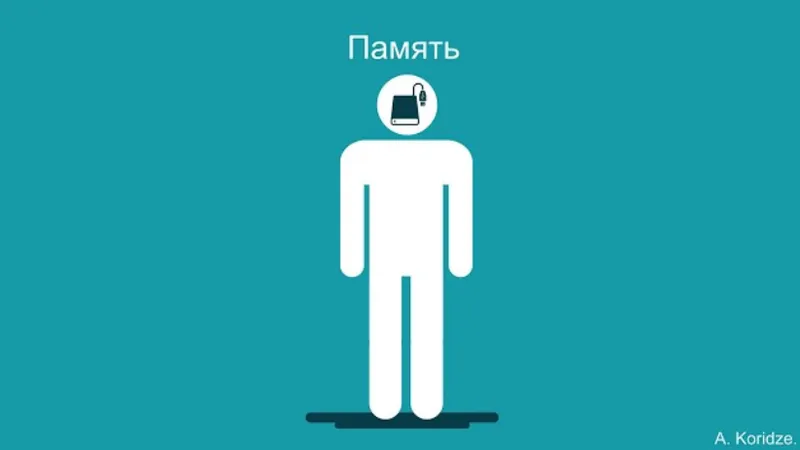 Прокачай свою память: тренировка памяти