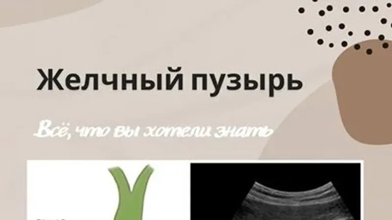 Желчный пузырь