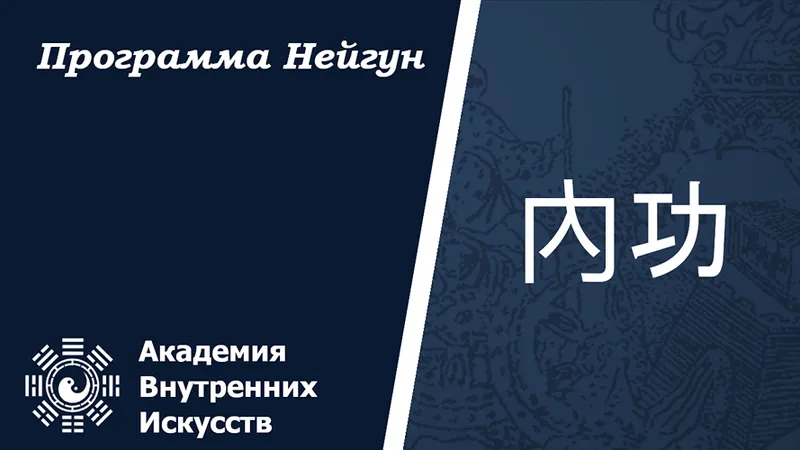 Нэйгун подписка на 1й год