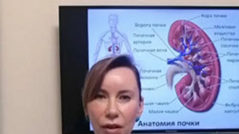Остеопатическая коррекция почек. Лечение мочекаменной болезни