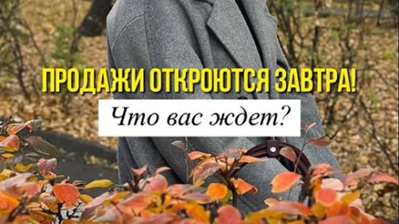Базовый курс Таро