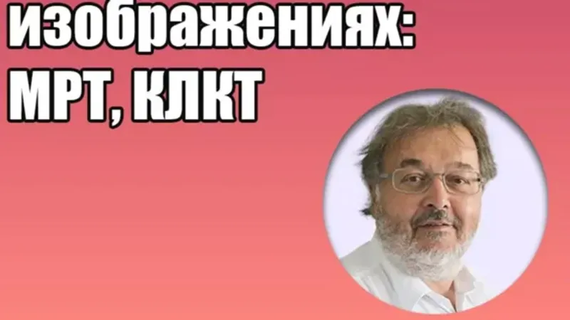 Структура костей ВНЧС на рентгенологических изображениях: МРТ, КЛКТ