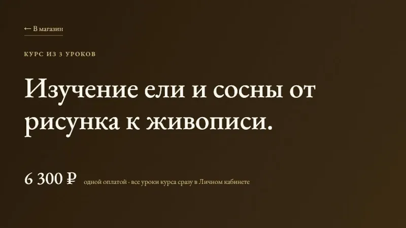 Изучение ели и сосны от рисунка к живописи