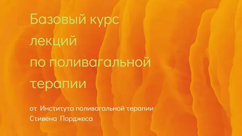 Базовый курс лекций по поливагальной терапии. 11 лекций