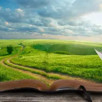 Нейропрограммирование 7, 8