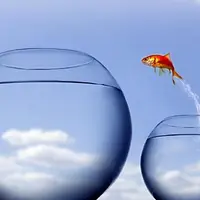 Нейропрограммирование. Вебинары 11 и 12