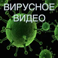 Как сделать вирусное видео