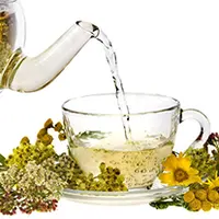 Траволечение простудных заболеваний и забота о здоровье