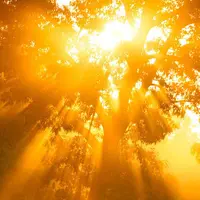 Медитативный курс 3: Постижение Высшего Мастерства