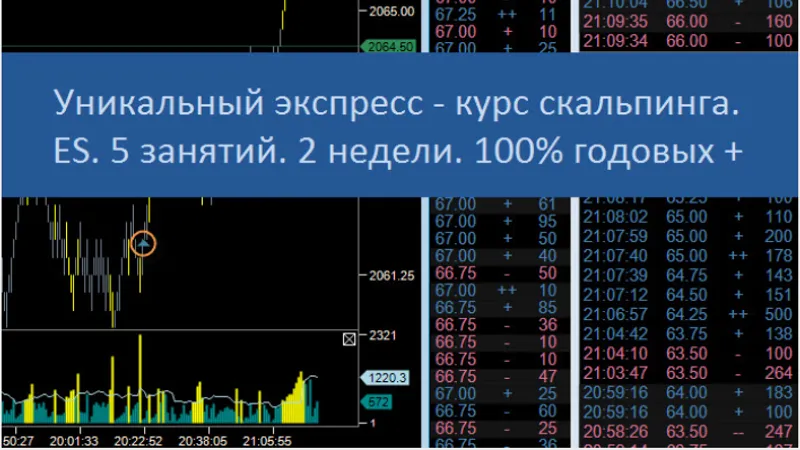 Курс скальпинга