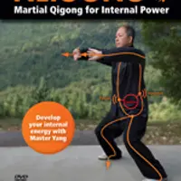 Основные аспекты боевого искусства - 5. Neigong