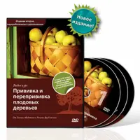 Прививка и перепрививка плодовых деревьев. Выращивание и размножение крупноплодной клюквы