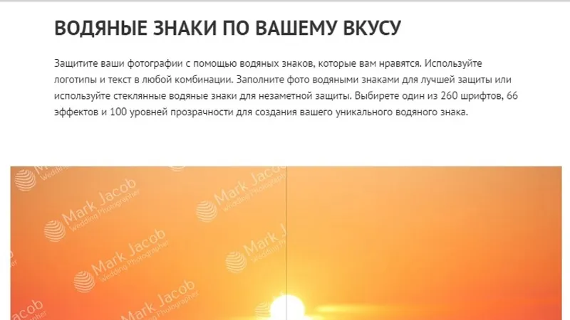 Миниатюра 3
