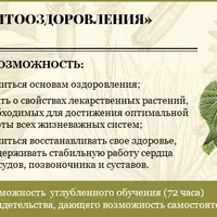 Основы Фитооздоровления