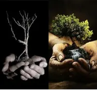 Ошибки при анализе карты Ба-Цзы. Часть 2